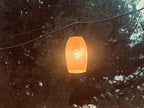 Yellow lattice-weave lantern cover glowing softly at dusk among trees — Groovy Lanterns