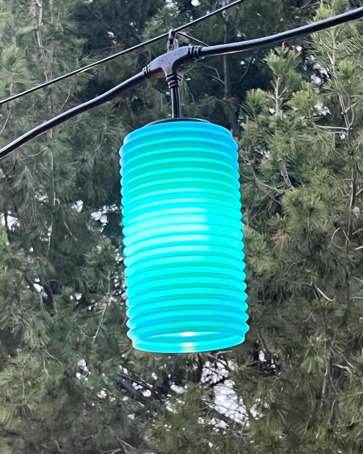 The Shimmer lantern cover glowing teal among trees at dusk — Groovy Lanterns